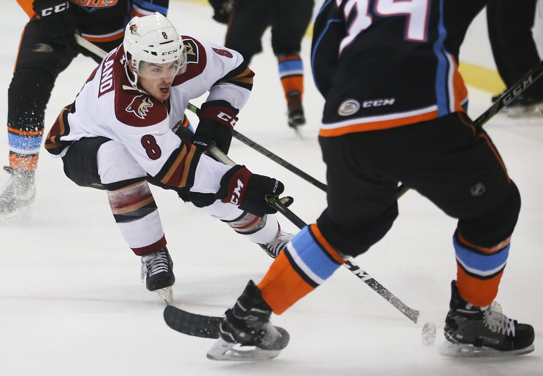 Tucson Roadrunners vs. San Diego Gulls AHL hockey